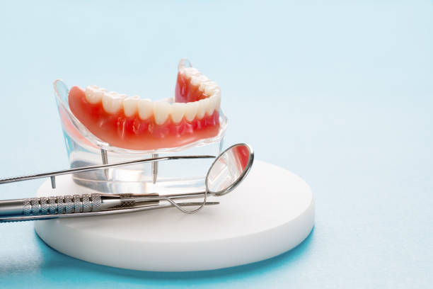 Inverness Highlands North, FL  Holistic Dental Services Company