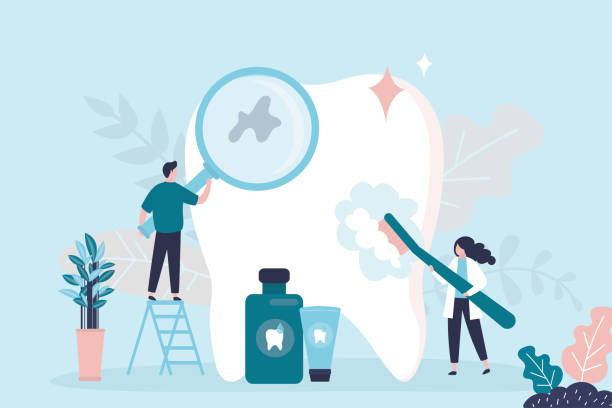 Best Traditional Braces  in Inverness Highlands North, FL
